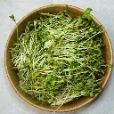 fenugreek2.webp