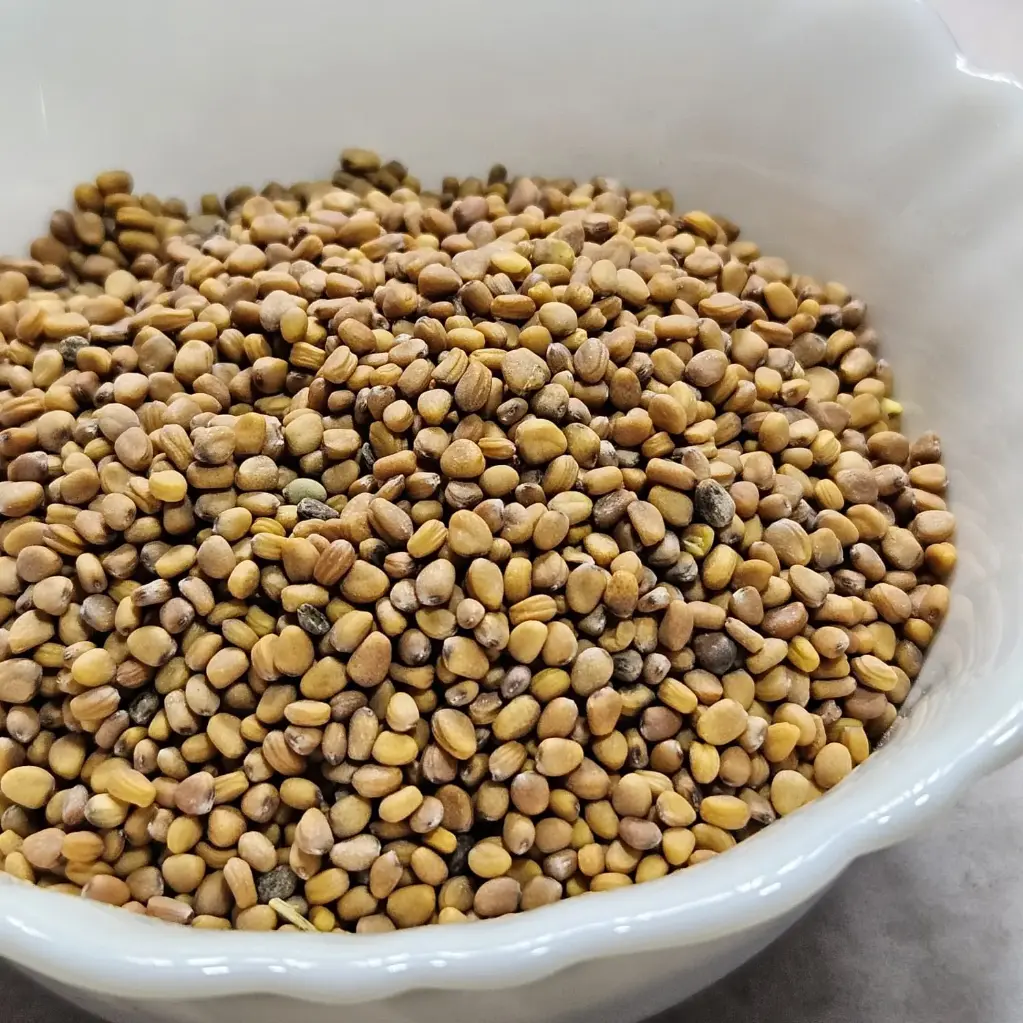 China Rose Radish Microgreen Seeds