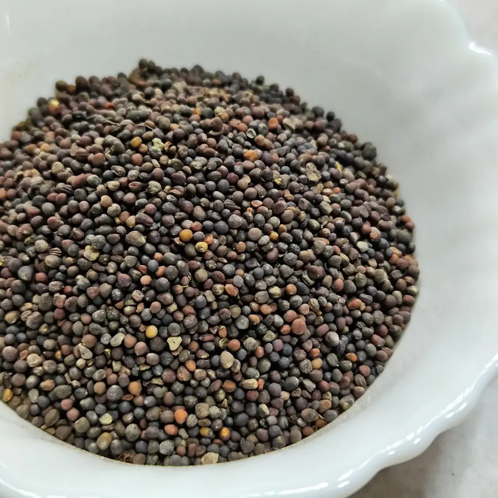 Pak Choi Microgreen Seeds