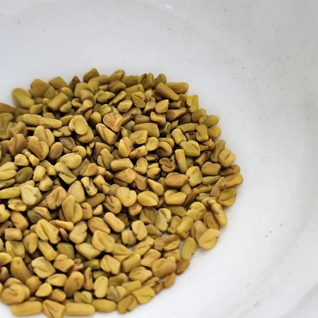 Fenugreek Microgreens Seeds