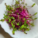 Beets Microgreens