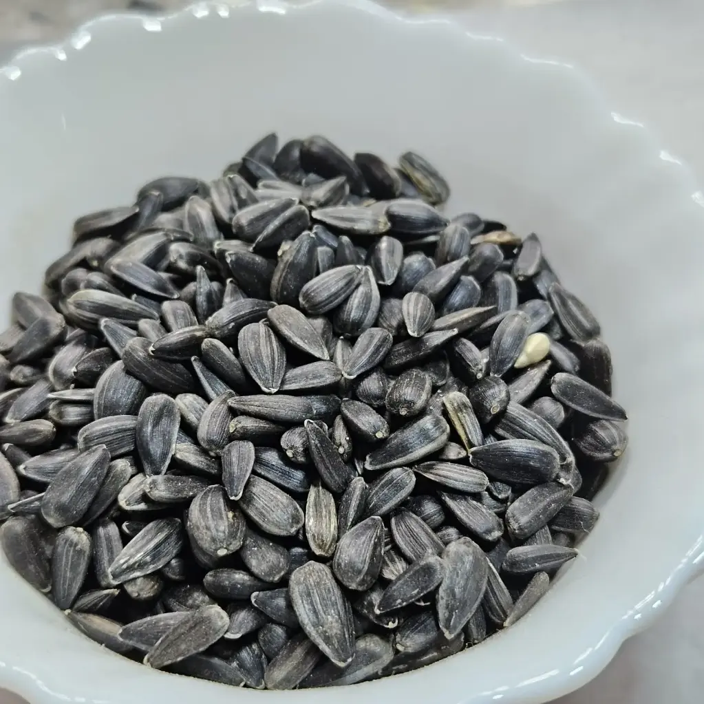 Sunflower Microgreen Seeds