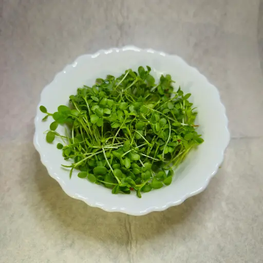 Clover Microgreens