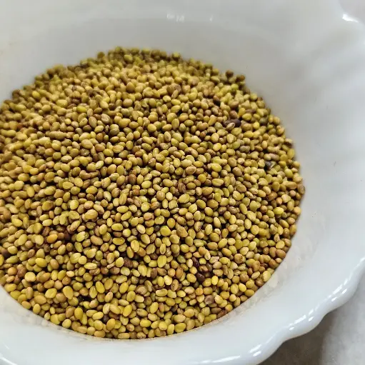 Clover Microgreen Seeds