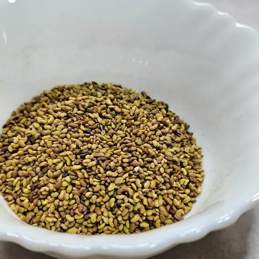 Alfalfa Microgreen Seeds