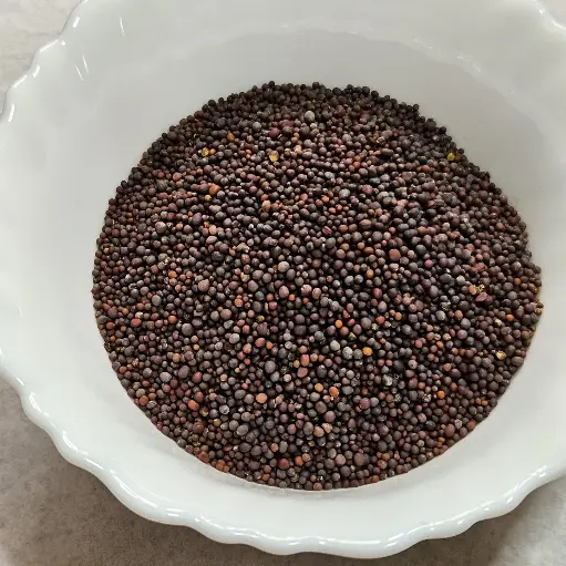 Mustard Microgreen Seeds